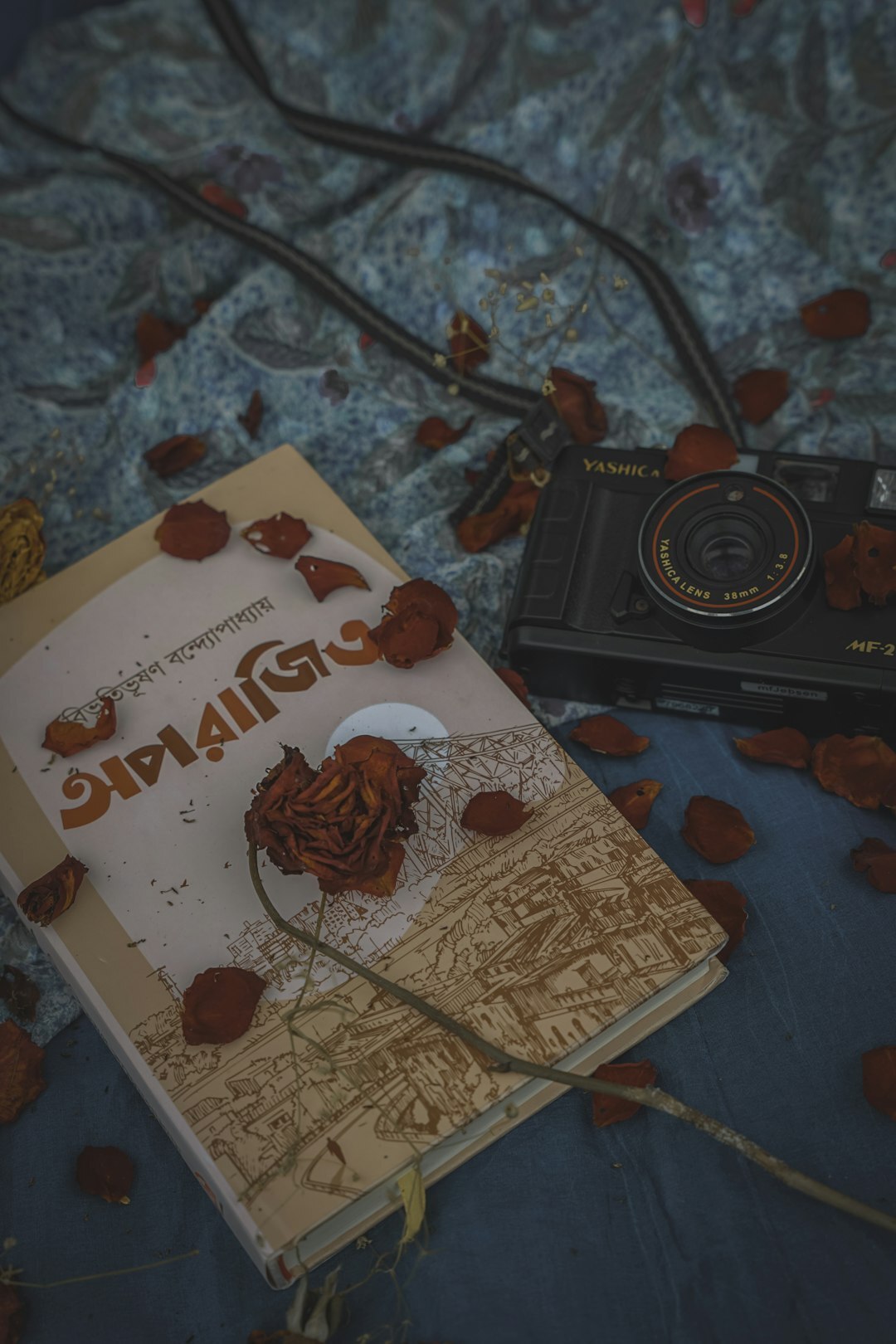 detective novel cover